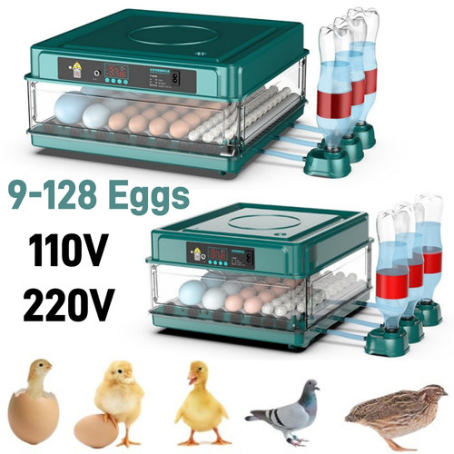 128 eggs automatic egg - 9-128,