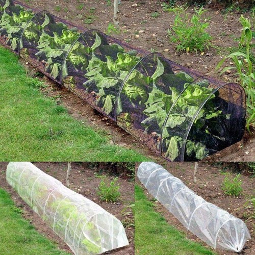 Garden grow tunnel - garden,