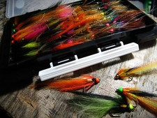 IFS 30 Irish Bead head salmon
