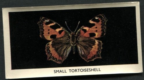 Tobacco card godfrey - card,,