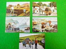 Carey postcards set of 5 - postcards,