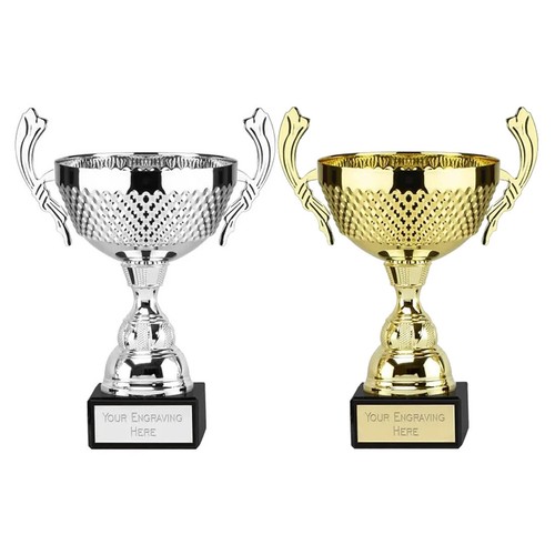 Large silver gold presentation - silver/gold,