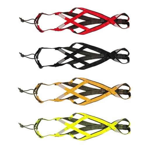Dog harness for training sled - dog,