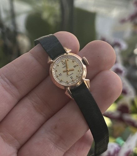 Vintage chaika soviet - vintage,