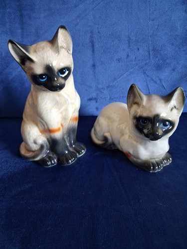 Leonardo collection siamese - collection,