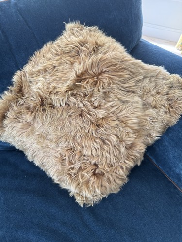 Suri alpaca wool - alpaca, pillow