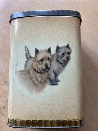 Vintage tin tea caddy terrier - tea,