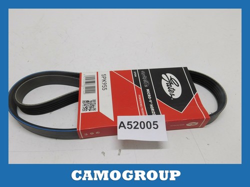 Service belt ribbed - v-ribbed,