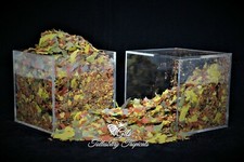 Premium Tropical Fish Flakes