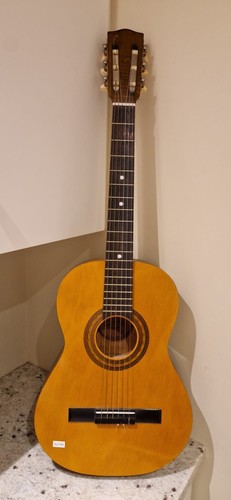 Encore enc36n guitar - encore, guitar,
