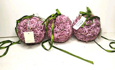 Katherines Collection Hanging