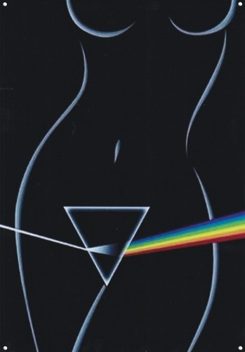 Pink floyd dark side - pink,