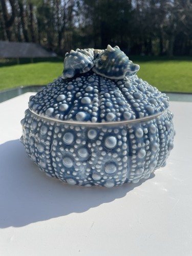 Sea urchin shell trinket pot - urchin,