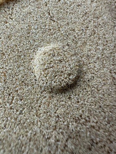 100g ant sand optimal - -, for