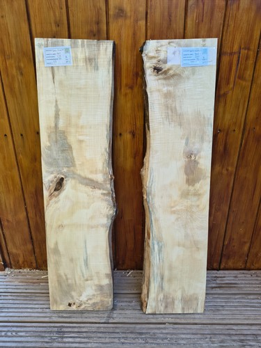 Horse chestnut batch - chestnut,
