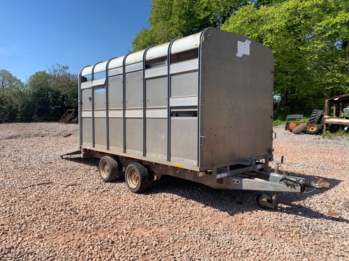 Ifor williams cattle - cattle, trailer