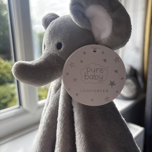 Pure baby grey elephant - elephant,