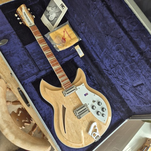 Rickenbacker 381 v69 - 381, birdseye
