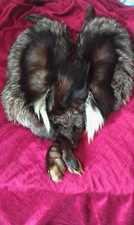 THE MOST BEAUTIFUL FOX FUR