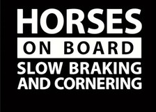 Caution Horses On Board Sticker Horse Box Trailer Equestrian Decal Animal Decal