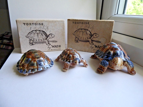 Wade tortoise trinket box - wade,