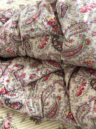 Vintage paisley and - paisley, roses