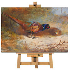 Archibald Thorburn Pheasant Wall Art Canvas Picture Print Ready To Hang