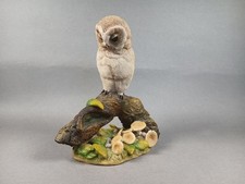 Vintage Teviotdale Barn Owlet