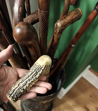 Edwardian presentation antler