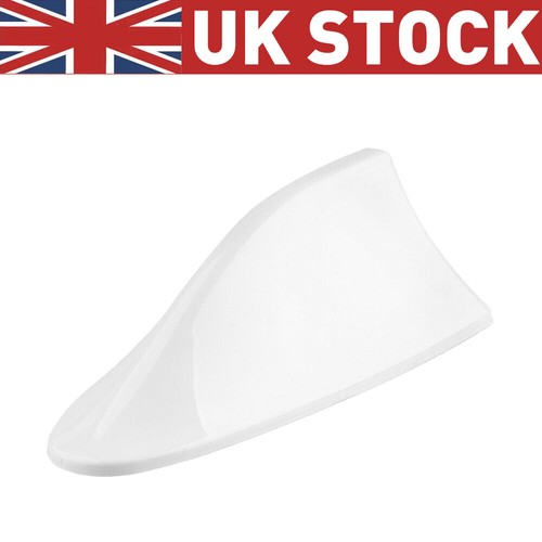 White color car - color, shark