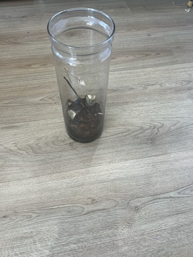 Vintage clear glass terrarium - vintage,