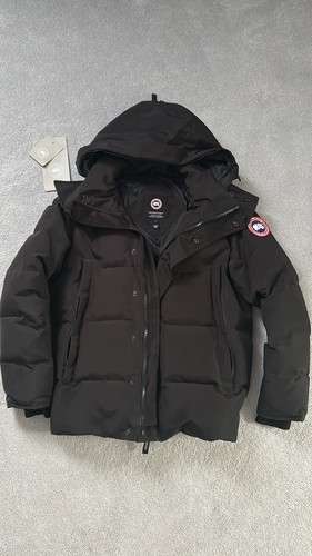 Canada goose arctic program - canada,