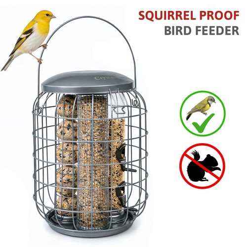 Squirrel proof hanging - proof,