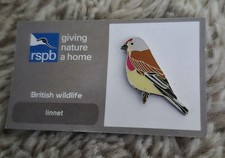 RSPB Bird Pin Badge - Linnet