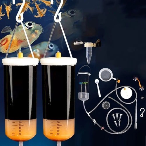 Artimia brine egg shrimp - artimia,