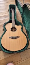 Faith FKV Venus Naked Electro-Acoustic Guitar new never played fkv 