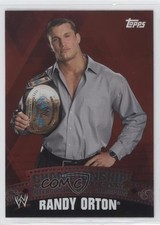 2010 WWE Material Intercontinental Championship Belt Puzzle Back Randy Orton