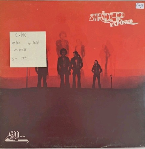 Strider exposed vinyl record - strider,