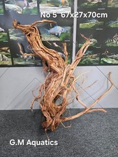 Azalea  No 5  S-shaped wood