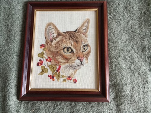 Tabby cat framed - tabby,