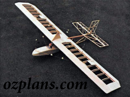 Printed model airplane - printed,