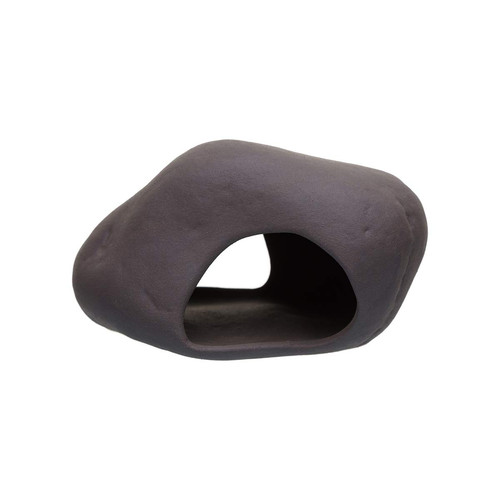 Plecoceramics cichlid stone - cichlid,