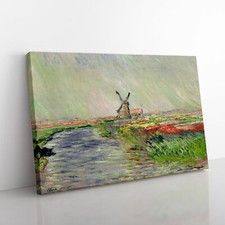 Field Of Tulips, Holland By