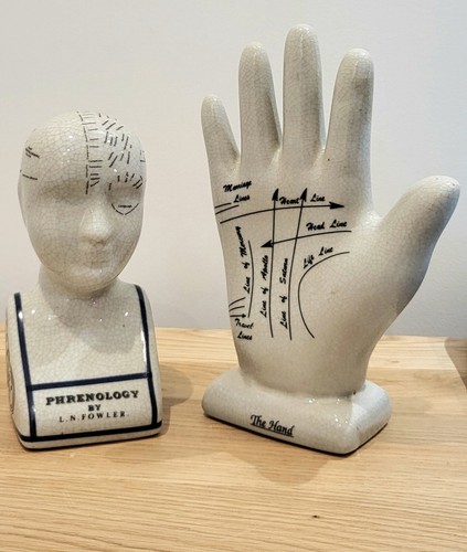 Set phrenology head 7 - set, 7"