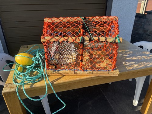 New wooden orange - new,