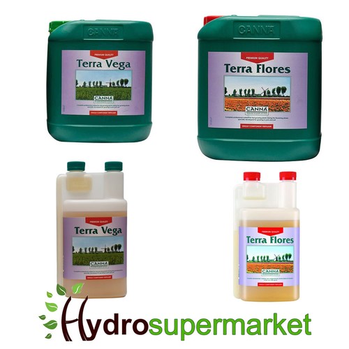 Canna terra vega - canna,