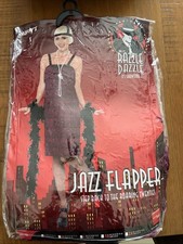 Flapper Dress 1920s Costume
