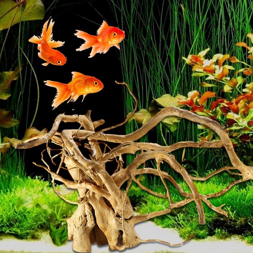 Aquarium sinkable driftwood - aquarium,