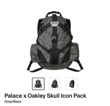 Palace x Oakley Skull Icon