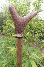 HAND CRAFTED HAZEL STAGSHORN